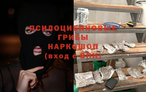 герыч Козельск