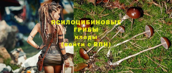 герыч Козельск