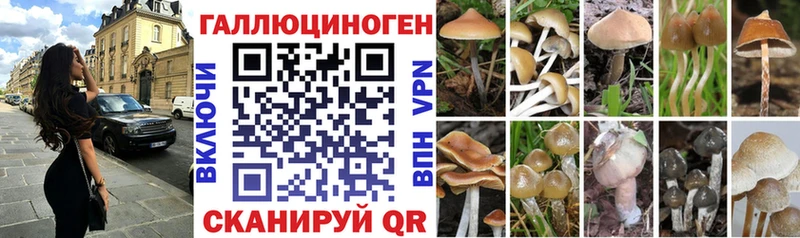 Галлюциногенные грибы ЛСД закладки Нестеровская